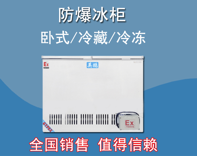 英鵬防爆臥式冰箱，存放油漆防爆冰箱BL-200