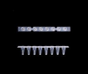 0.2ml八聯(lián)排PCR管，光學(xué)平蓋，透明，科進/KIRGEN