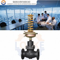 進(jìn)口自力式壓差調(diào)節(jié)閥性能參數(shù),報(bào)價/價格,圖片