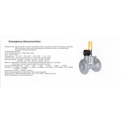 進(jìn)口低壓緊急切斷電磁閥（通電關(guān)閉、手動(dòng)打開）