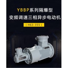 YBBP系列隔爆型變頻調(diào)速三相異步電動機（H63-355）
