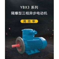 YBX3 系列高效率隔爆型三相異步電動機