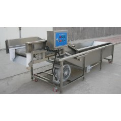 油菜氣泡清洗機(jī)，小白菜氣泡清洗機(jī)