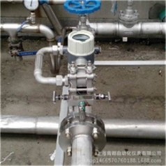 多參量v錐流量計(jì) 電池供電