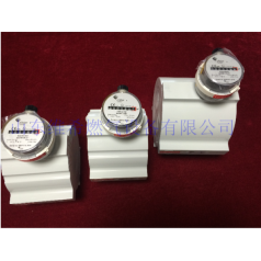 elster埃爾斯特QA燃?xì)獗須怏w渦輪流量計(jì)天然氣表Quantometer進(jìn)口