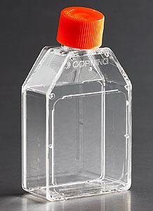 Corning 細(xì)胞培養(yǎng)容器，CellBIND(R) 表面，滅菌 3067