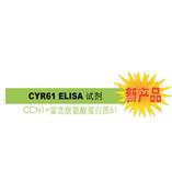 CYR61 是診斷 / 判斷乳腺癌惡化的腫瘤標(biāo)志物。