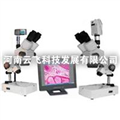 供應(yīng)云飛XTZ解剖鏡及成像設(shè)備，解剖鏡及成像設(shè)備廠家
