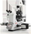 Leica研究級倒置電動顯微鏡DMi8倒置熒光顯微鏡謹(jǐn)通儀器全國報(bào)價銷售